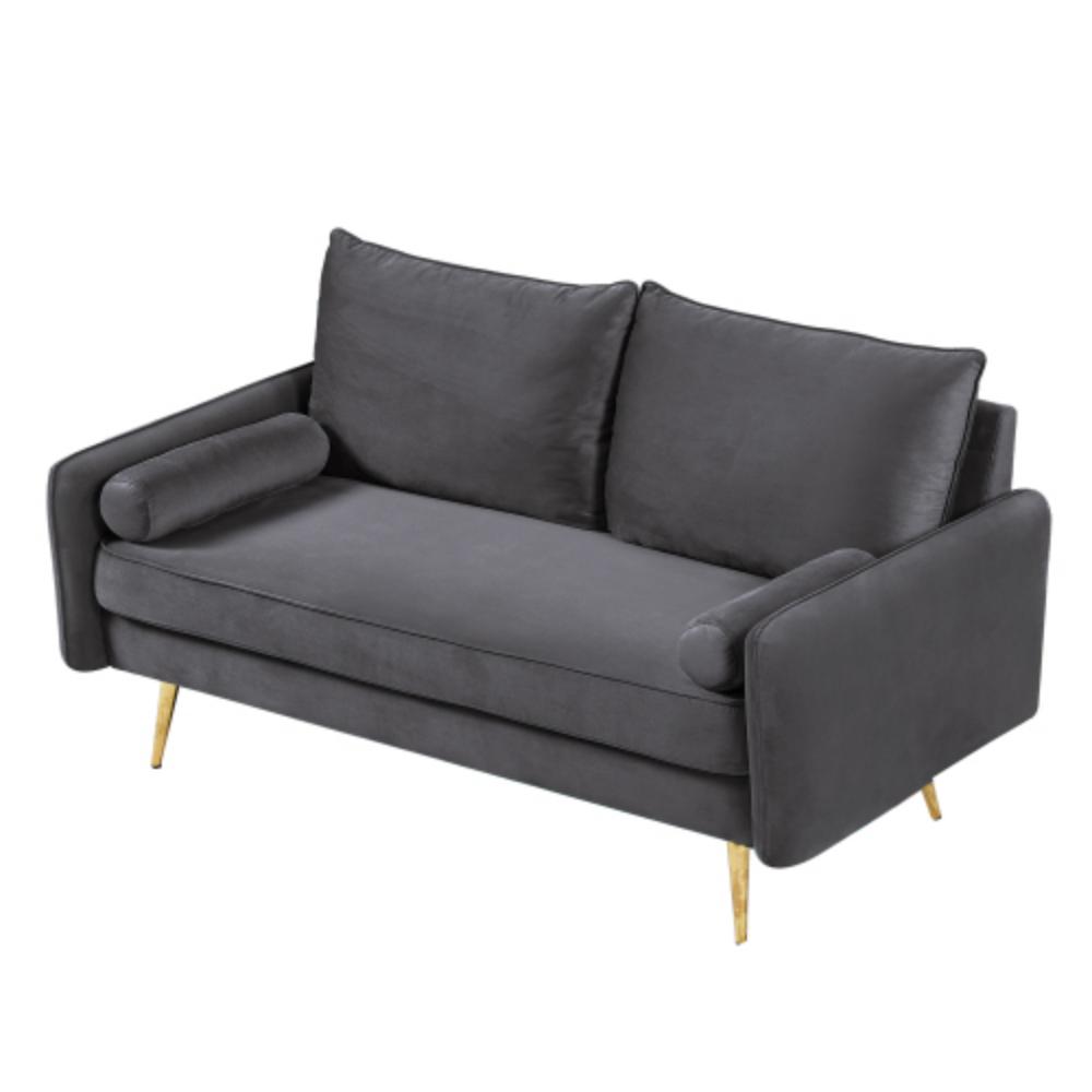 Stylish Upholstered Loveseat with Plush Velvet Seating and Sleek Metal Legs