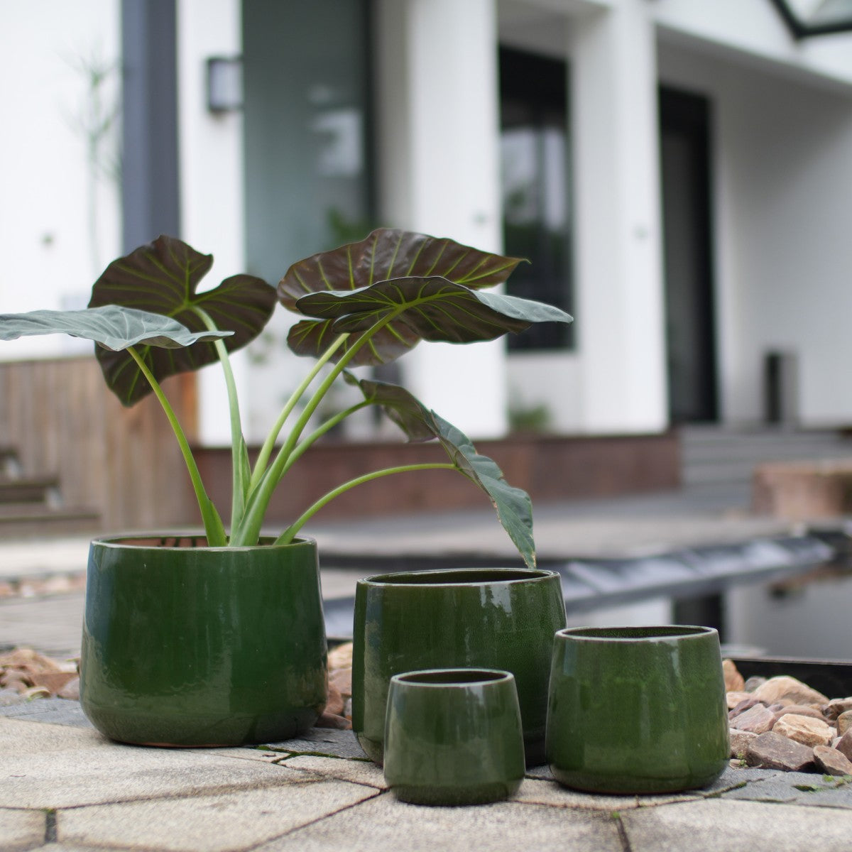 Set of 4 Glossy Deep Green Ceramic Planters with Drainage Holes