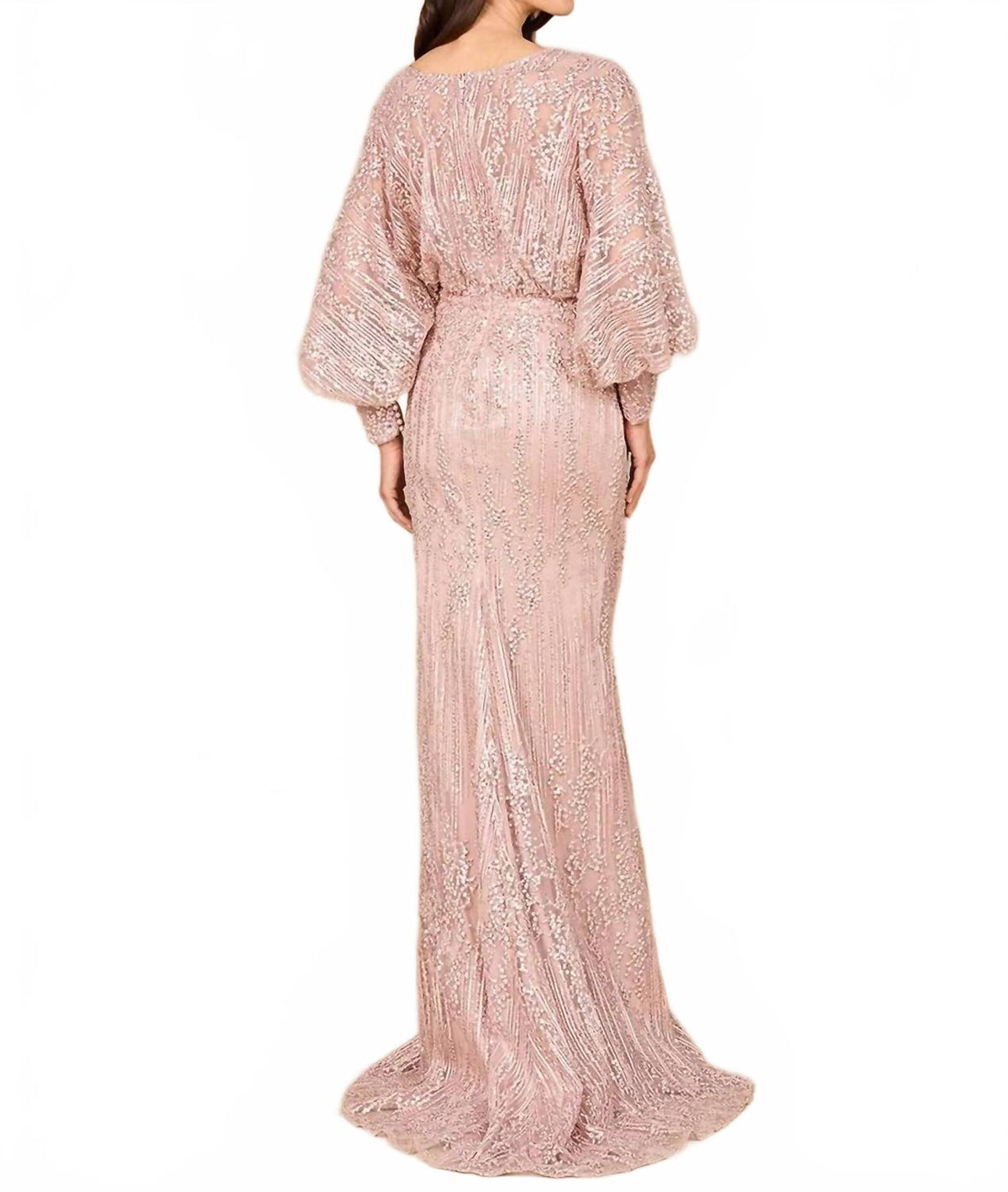 V-Neck Straight Beaded Lace Gown In Blush