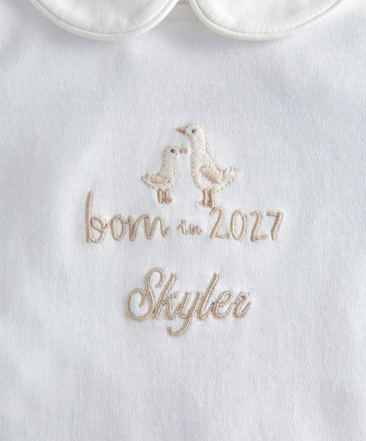 Born In 2027 All In One