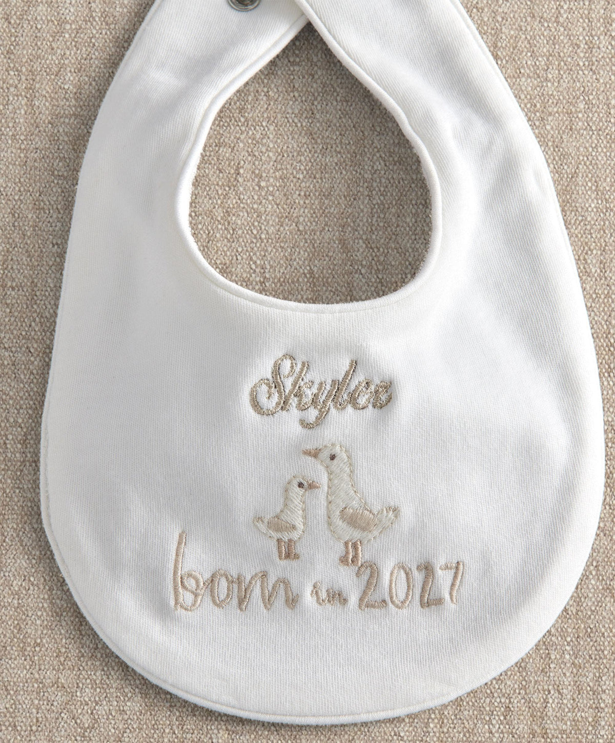 Born In 2027 Bib