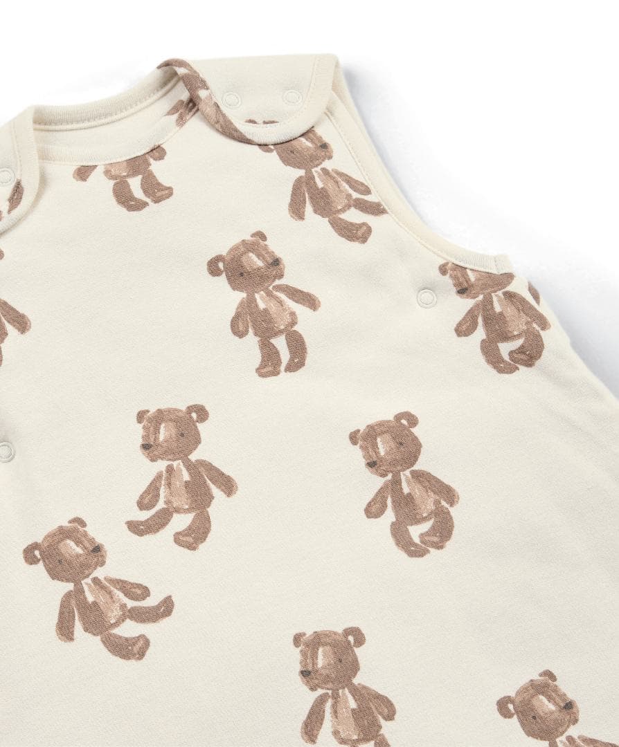 Bear Dreampod Swaddle - 0-6 Months (2.5 Tog)