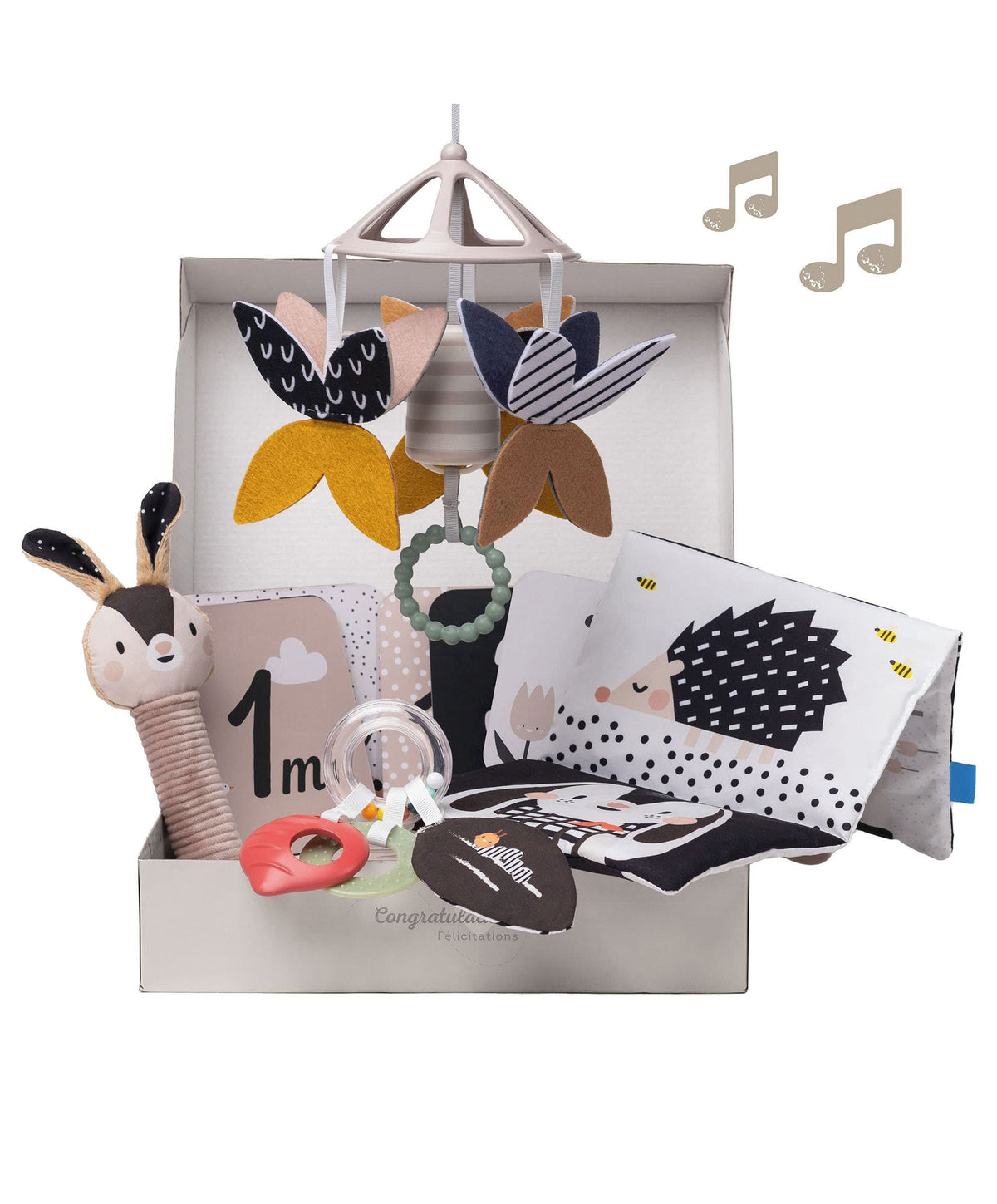 Taf Toys Black & White Newborn Gift Box
