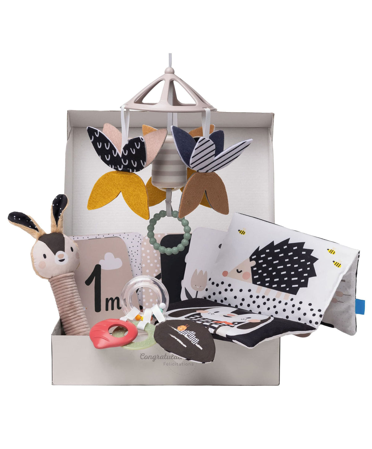 Taf Toys Black & White Newborn Gift Box