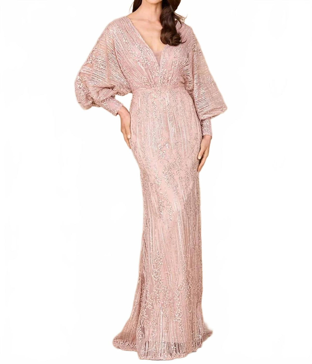 V-Neck Straight Beaded Lace Gown In Blush