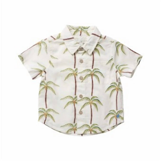 Boy's Jack Button Down Shirt In Cream Palm Trees