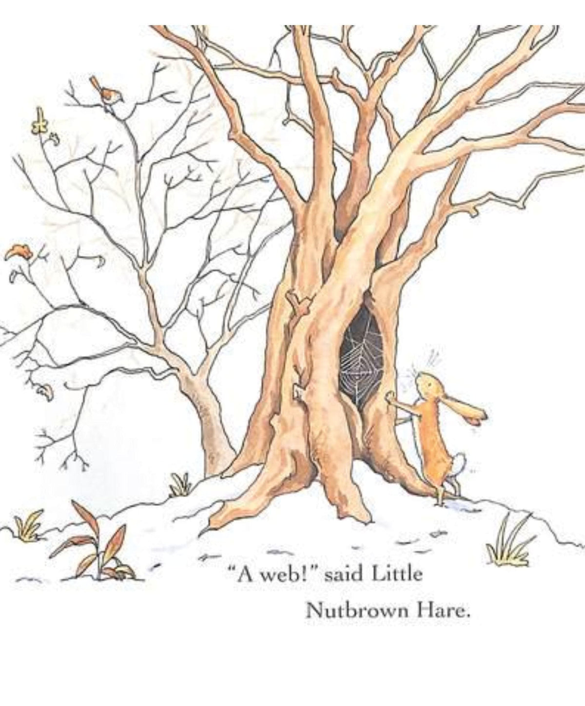 Guess How Much I Love You In The Winter Book