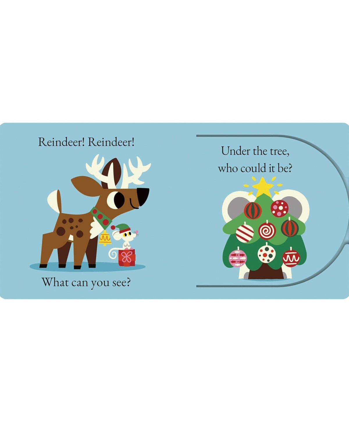 Reindeer Reindeer What Can You See? Book