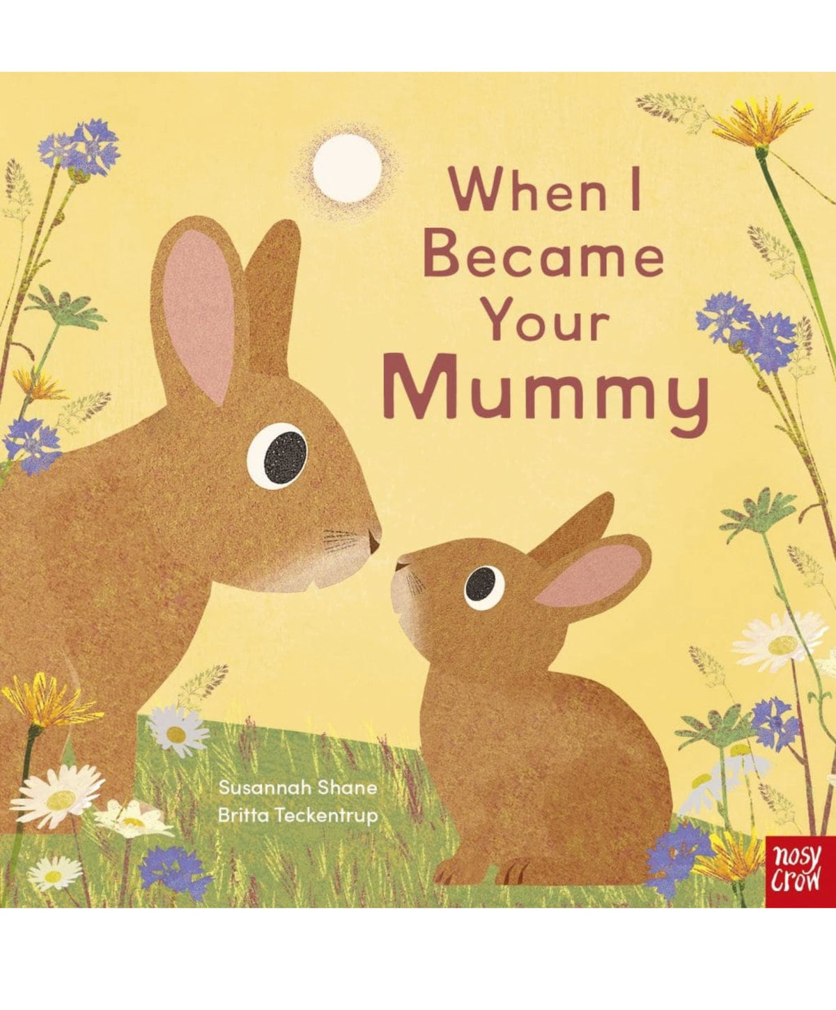 When I Became Your Mummy Board Book