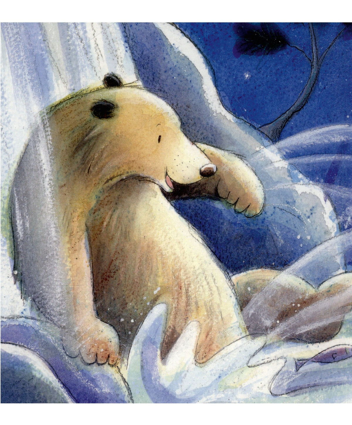 Moon and Back Board Book