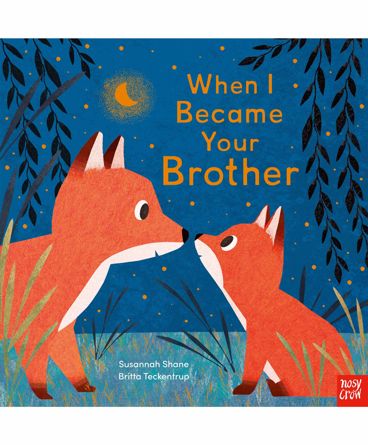 When I Became Your Brother Book