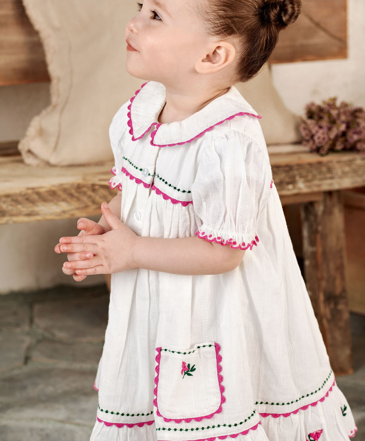 Collared Embroidered Dress