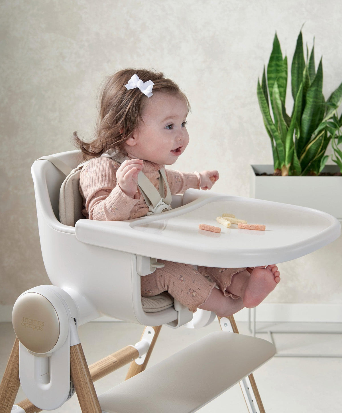 Eno Highchair & Eno Highchair Cushion Bundle - Cashmere
