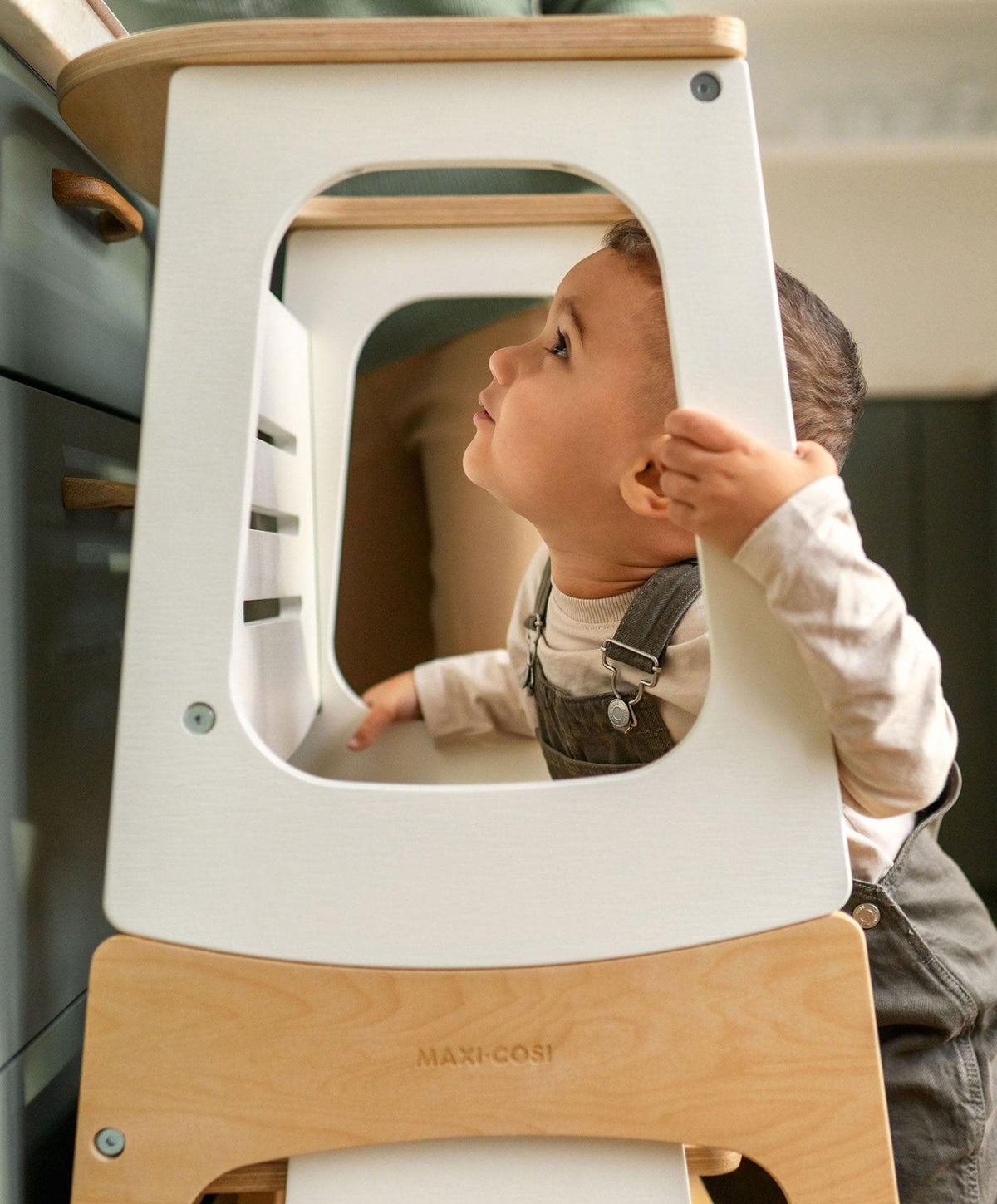 Maxi-Cosi Toucan 3-in-1 Learning Tower