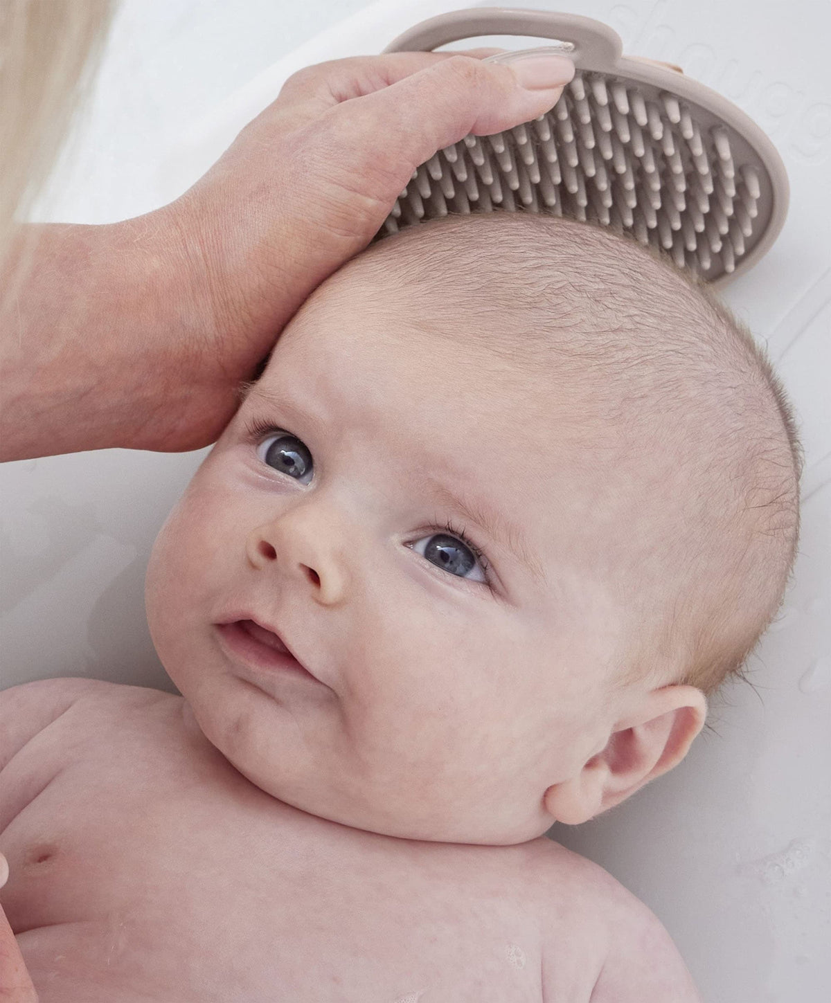 Shnuggle Baby Bath Brush - Taupe